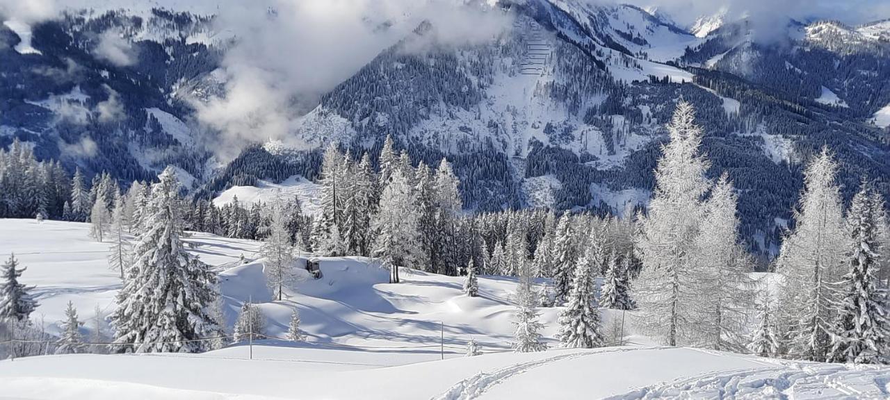 Chalet Auhof Flachau Zewnętrze zdjęcie