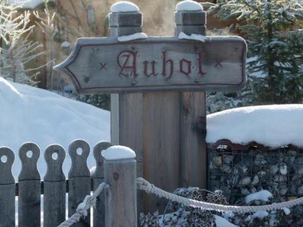 Chalet Auhof Flachau Zewnętrze zdjęcie